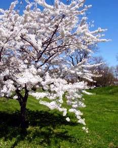 Притча:  розшук дітей